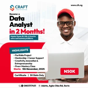Data Analyst